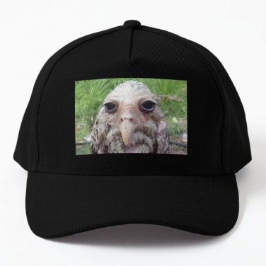 Wet Owl Meme Baseball Cap Hat Women Black Casquette Snapback Mens