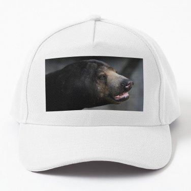 Sun Bear Portrait Baseball Cap Casquette Hat Golf Hats Sun