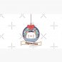 Aquarius Christmas Kitty Cap