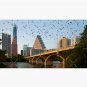 Austin Texas Skyline Bats Town Lake Bridge Cap