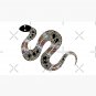 Authentic Aboriginal Art - Snake Cap