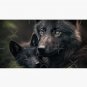 Baby with mother black wolf Cap