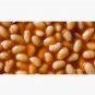 Baked Beans Cap