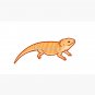 Bearded Dragons Cap