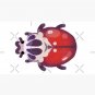 Beetle Cap