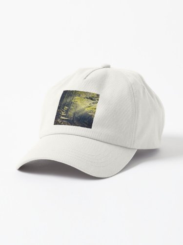 Being There - Morning Light in Forest Cap