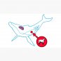 Belly of the Whale Cap