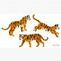 Bengal Tigers - Navy  Cap