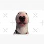 @PupperNelson Photo Meme Face Cap