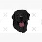 A Happy Black Lab  Cap