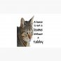 A House Is Not A Home Without A Tabby Cat Cap