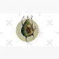 A is for Avocadavero The Haunted Avocado Cap