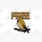 Alex Chen Bird Shirt Cap