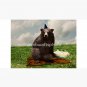 Birthday Bear Cap