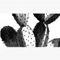 Black and White Cactus Cap