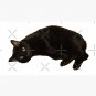 Black Cat  Cap