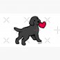 Black Labrador Puppy with a Little Heart Cap