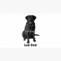 Black Labrador Retriever Lab Dad Cap