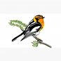 Blackburnian Warbler Cap