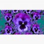 BLACK-PURPLE GARDEN PANSIES PATTERNS TEAL ART Cap