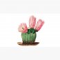 Blooming Cactus with Massive Pink Flowers Cap
