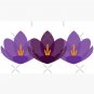 Crocus Flower Cap