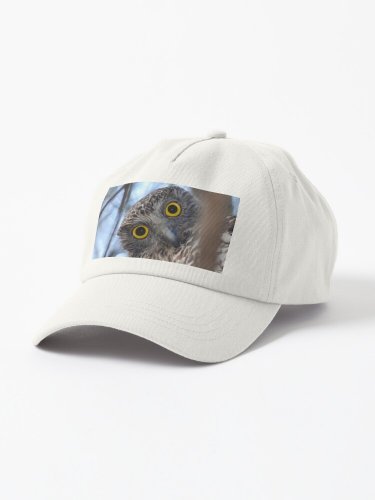 Curious Australian Powerful Owl Cap
