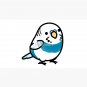 CUSTOM Mr Blue the Chubby Budgie Cap