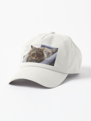 Cute Cat Cap