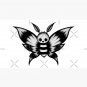 cute dark moth Cap