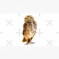 cute owl Cap