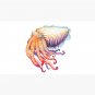 Cuttlefish Cap