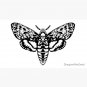 Death's Head Moth Cap