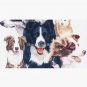 Border Collie Montage Cap