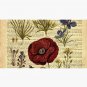 Botanical print, on old book page - flowers Cap