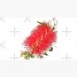 Bottlebrush Cap