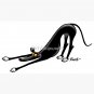 Bowdown Hound Cap