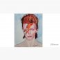 Bowie - Aladdin Sane Cap