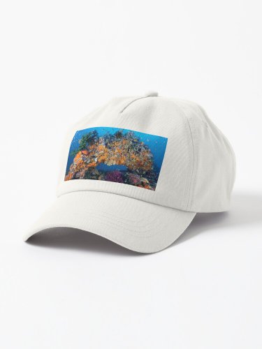 Bridge under troubled water Cap