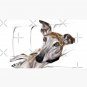 Brindle Greyhound Cap