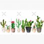 Cactus Cap