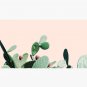 Cactus culture Cap