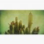 Cactus in my mind Cap