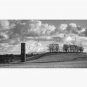 Cammo Tower - B&W Cap