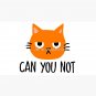 Can You Not Funny Orange Cat Cap