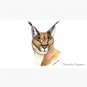 Caracal Cap