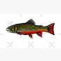 Brook Trout Cap
