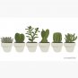 Cacti & Succulent Cap