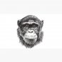 Chimpanzee Cap