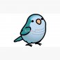 Chubby Blue Quaker Parrot Cap
